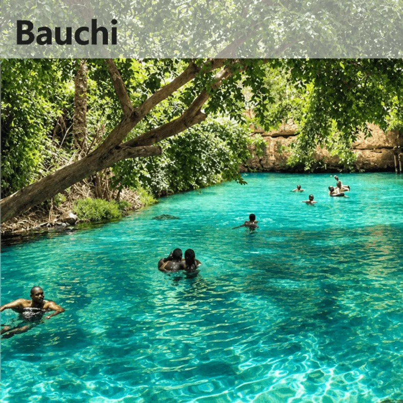 Bauchi