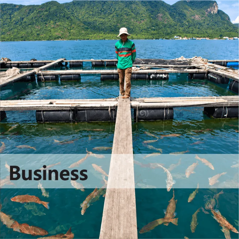 Business